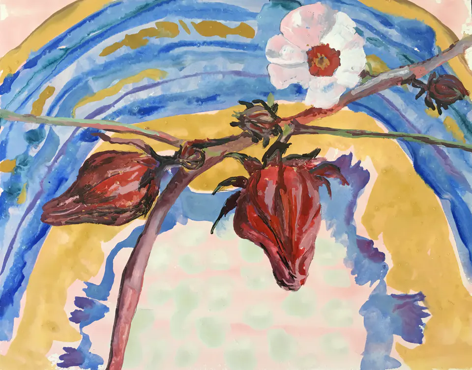 Barbara Kastelec — Rastlinske celice