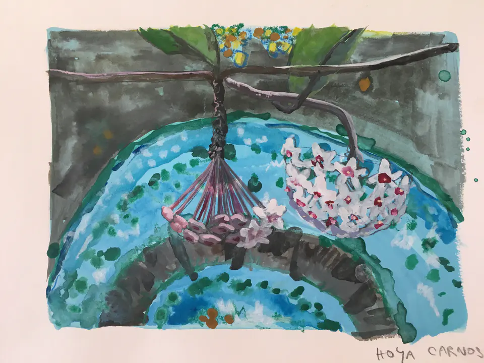Barbara Kastelec: Rastlinske celice (Hoya carnosa), gvaš na papirju