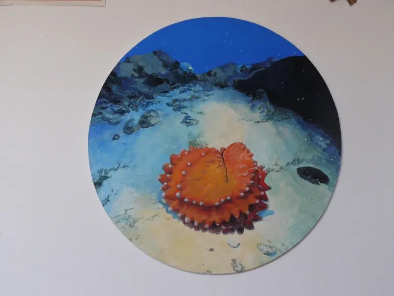 Barbara Kastelec: Semena (Prenia tetragona/Parastichopus johnsoni (2014)
gvaš na platnu), gvaš