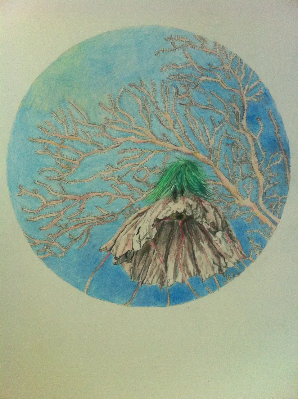 Barbara Kastelec: Semena (Sabiosa crenata ( Dipsacaceae) / Chrusaora melanaster ( 2012)
barvni svinčnik), slikarsko delo