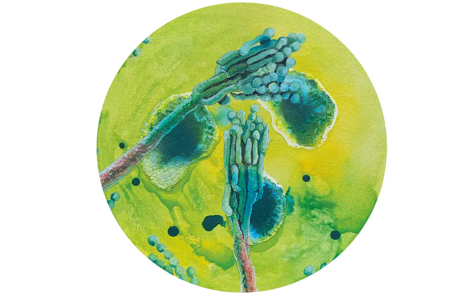 Barbara Kastelec: Življenje; Čopičaste plesni (PENICILLIN CAMEMBERTI), gvaš
