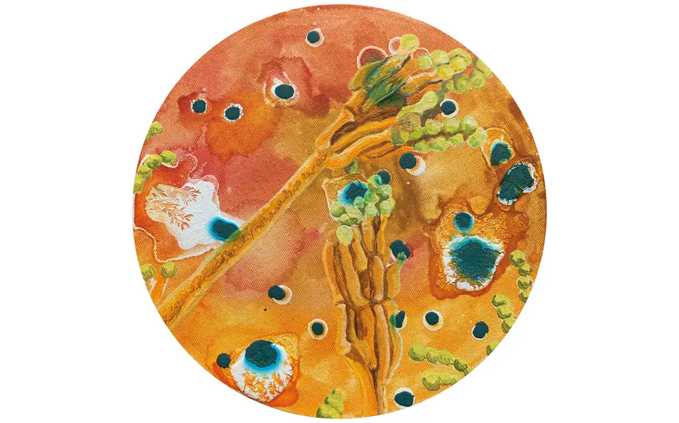 Barbara Kastelec: Življenje; Čopičaste plesni (PENICILLIN ROQUEFORTI), gvaš