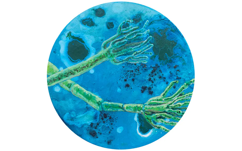 Barbara Kastelec: Življenje; Čopičaste plesni (PENICILLIN ROQUEFORTI), gvaš