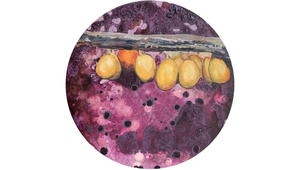 Barbara Kastelec: Življenje; Sluzavci (Leocarpus fragilis), mešana tehnika