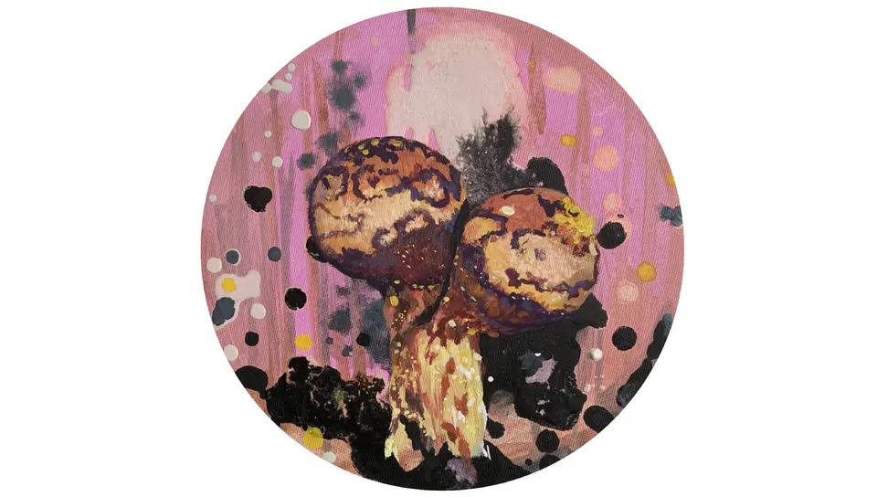 Barbara Kastelec: Življenje; Sluzavci (Trichia botrytis), mešana tehnika