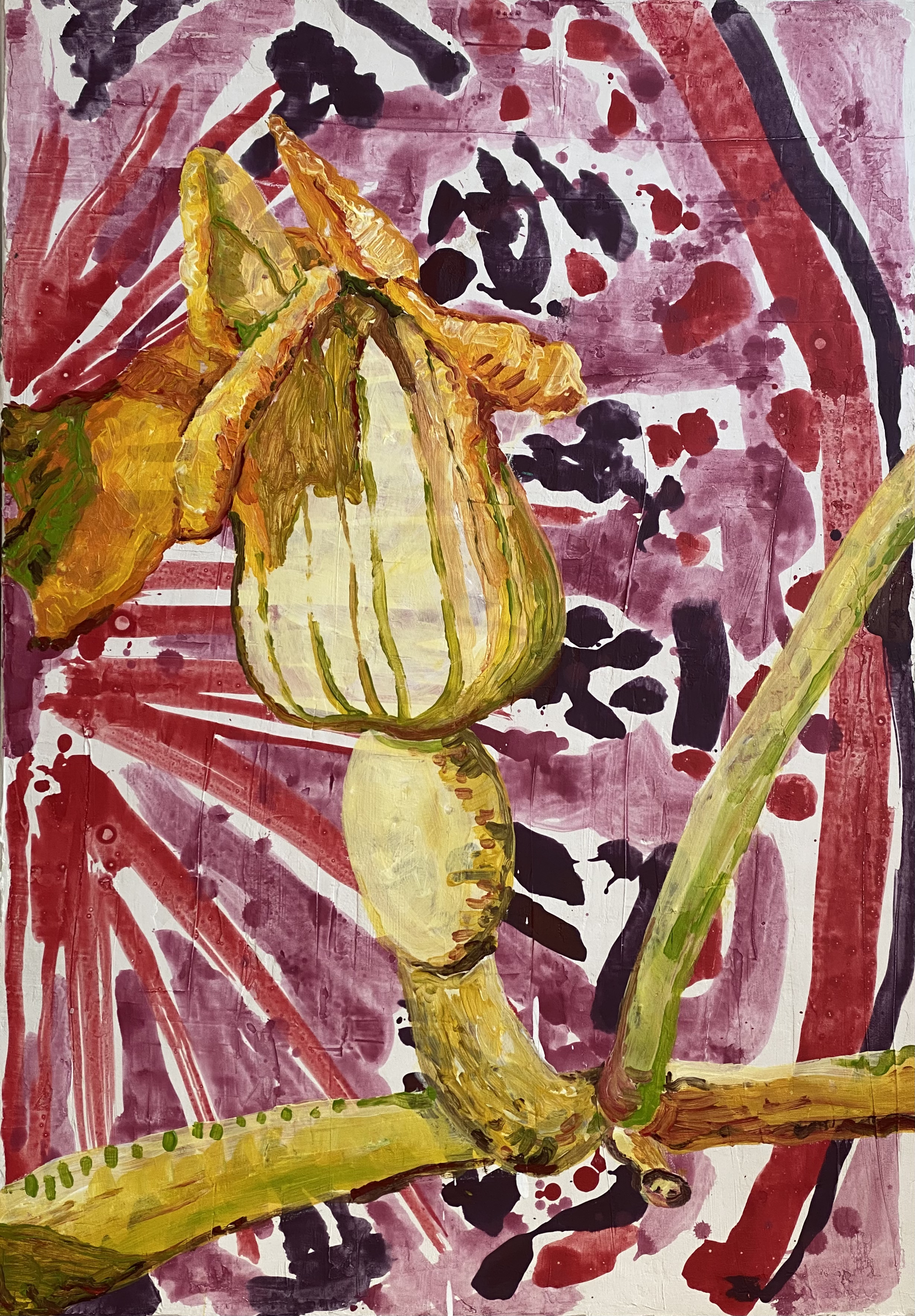 Cvet buče Ž, gips in akril na platnu, 50 x 70 cm, 2021