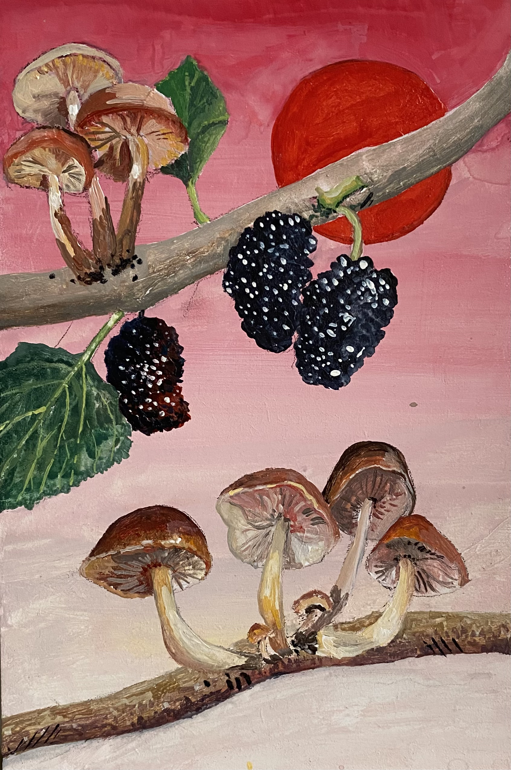Wild enoki mushroom and sun, 24x16 cm, aquarell on wooden panel, 2022