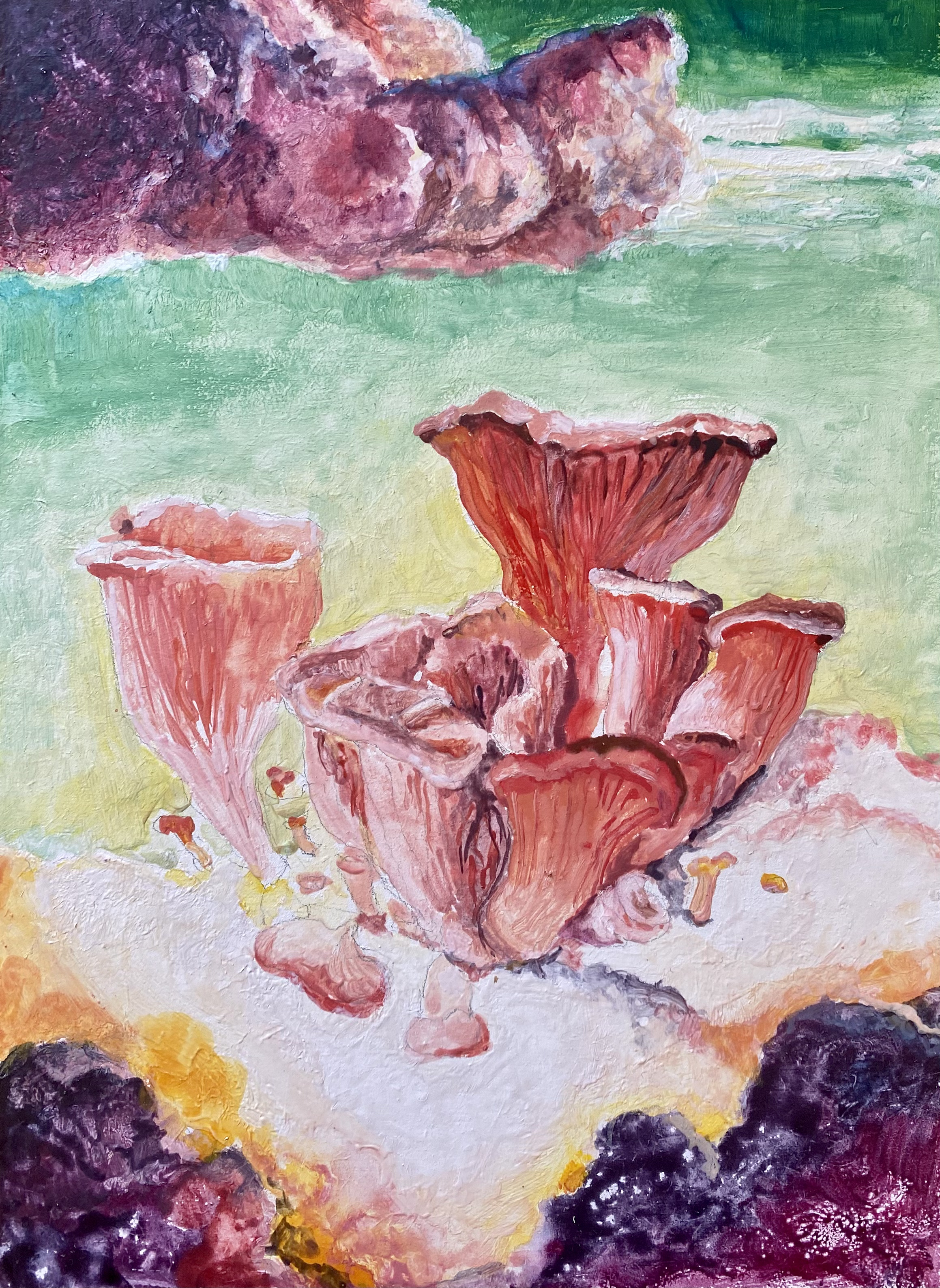 Roza ostrigar, 16 x22 cm, mixed tehnique, 2023